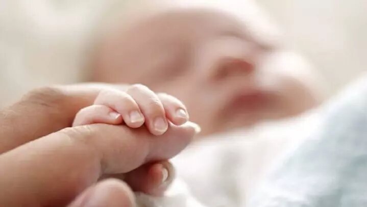 هر ساعت، ۸ نوزاد در این استان متولد میشود هر ساعت، ۸ نوزاد در این استان متولد میشود